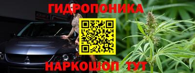гашик Кунгур