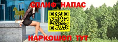 гашик Кунгур