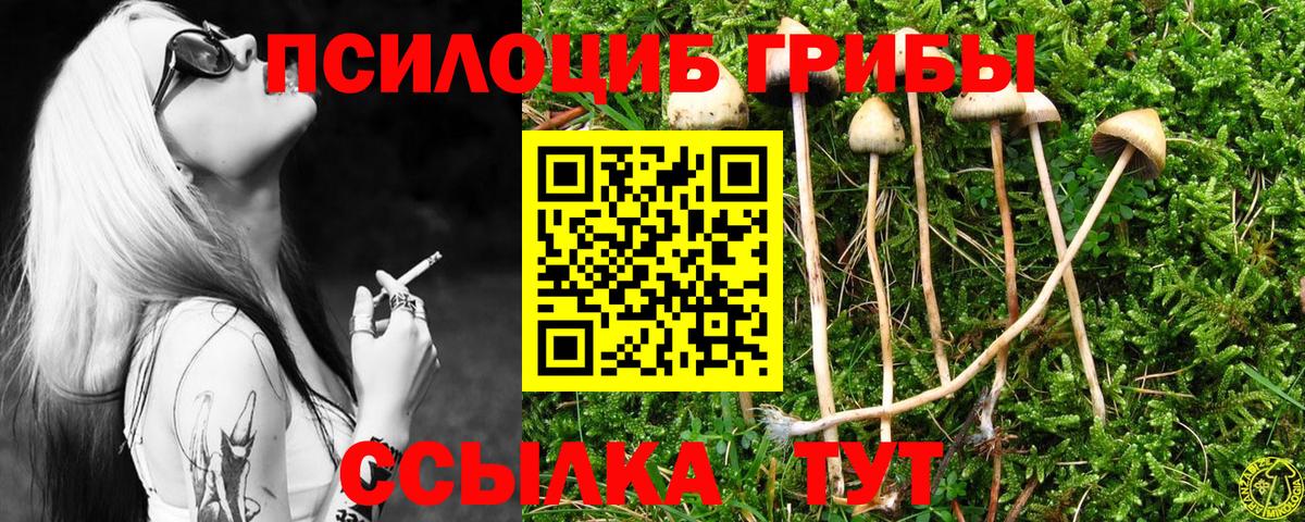 Галлюциногенные грибы GOLDEN TEACHER  Вход с VPN  Ирбит 